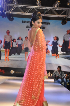 Shriya Saran 10 (5)